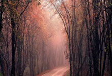 快快评 ｜ 央视取消易建联专访，公众的关注并非猎奇