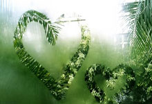 拜仁慕尼黑首发核心回归，球队稳固防线