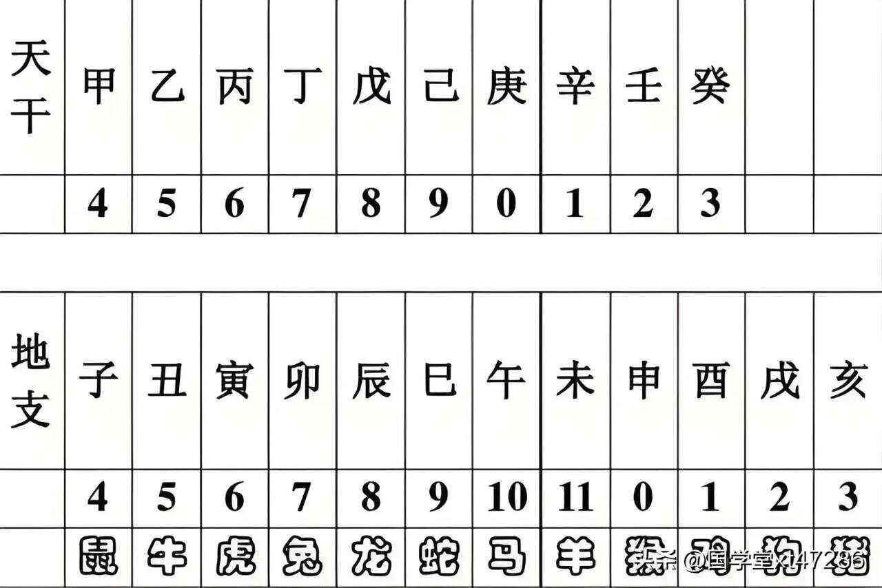 开云体育入口-田中心全场出战29分钟20中7，三分8中3得到21分6板9助攻的简单介绍